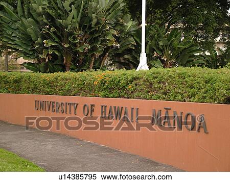 Honolulu, Oahu, HI, Hawaii, University of Hawaii at Manoa View Large Photo Image Stock Photography - Honolulu, Oahu, HI, Hawaii, University of Hawaii at Manoa. Fotosearch