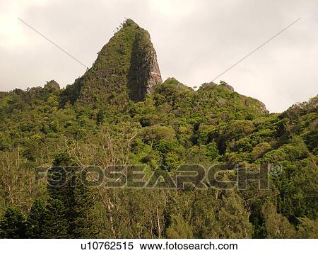 Stock Photography -  Honolulu, Oahu, HI, Hawaii, Windward Coast, Pali Highway, Hwy 61, Nuuanu Pali Lookout. Fotosearch