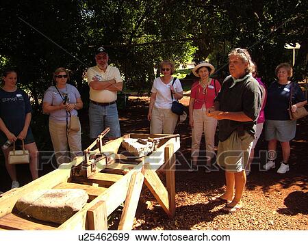 Stock Photo -  Hoolehua, Molokai, HI, Hawaii, Purdy's Macadamia Nut Farm. Fotosearch