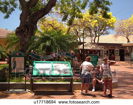Kaanapali, Maui, HI, Hawaii, Whaler's Village and Whaler's Village Museum View Large Photo Image Picture - Kaanapali, Maui, HI, Hawaii, Whaler's Village and Whaler's Village Museum. Fotosearch
