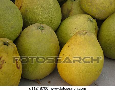 Stock Image -  Kailua-Kona, Big Island, Island of Hawaii, HI, Hawaii, farmer's market, tropical fruit, bread fruit. Fotosearch