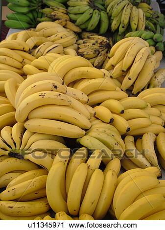 Stock Image -  Kailua-Kona, Big Island, Island of Hawaii, HI, Hawaii, farmer's market, tropical fruit, bananas. Fotosearch