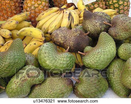 Kailua-Kona, Big Island, Island of Hawaii, HI, Hawaii, farmer's market, tropical fruit View Large Photo Image Stock Image - Kailua-Kona, Big Island, Island of Hawaii, HI, Hawaii, farmer's market, tropical fruit. Fotosearch