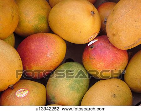 Stock Image -  Kailua-Kona, Big Island, Island of Hawaii, HI, Hawaii, farmer's market, tropical fruit, mangoes. Fotosearch
