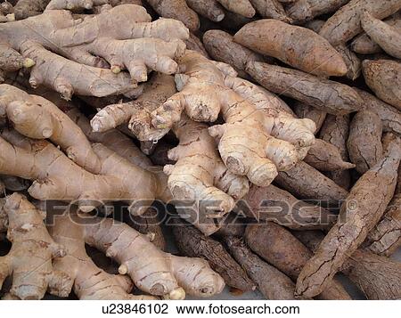Stock Image -  Kailua-Kona, Big Island, Island of Hawaii, HI, Hawaii, farmer's market, ginger root. Fotosearch