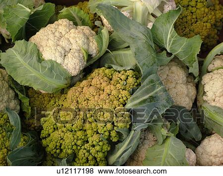 Stock Photo -  Kailua-Kona, Big Island, Island of Hawaii, HI, Hawaii, farmer's market, produce, vegetables, cauliflower. Fotosearch
