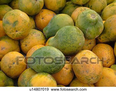 Kailua-Kona, Big Island, Island of Hawaii, HI, Hawaii, farmer's market, tropical fruit, papaya View Large Photo Image Stock Photo - Kailua-Kona, Big Island, Island of Hawaii, HI, Hawaii, farmer's market, tropical fruit, papaya. Fotosearch