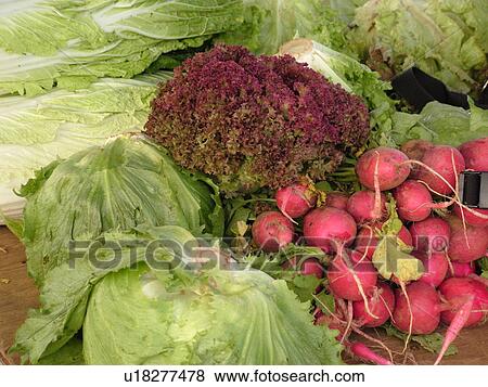Stock Photo -  Kailua-Kona, Big Island, Island of Hawaii, HI, Hawaii, farmer's market, produce, vegetables, lettuce, radishes. Fotosearch