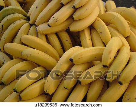 Stock Photograph -  Kailua-Kona, Big Island, Island of Hawaii, HI, Hawaii, farmer's market, tropical fruit, bananas. Fotosearch
