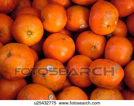 Kailua-Kona, Big Island, Island of Hawaii, HI, Hawaii, farmer's market, tropical fruit, oranges View Large Photo Image Stock Photography - Kailua-Kona, Big Island, Island of Hawaii, HI, Hawaii, farmer's market, tropical fruit, oranges. Fotosearch