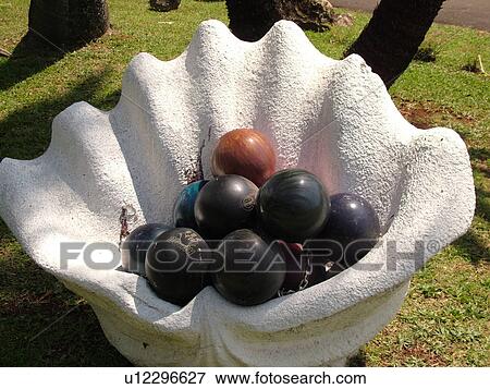 Stock Photo -  Kalaheo, Kauai, HI, Hawaii, South Shore, Gift shop, large black pearls, large shell. Fotosearch
