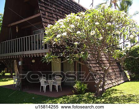 Kaunakakai, Molokai, HI, Hawaii, Hotel Molokai View Large Photo Image Stock Photography - Kaunakakai, Molokai, HI, Hawaii, Hotel Molokai. Fotosearch