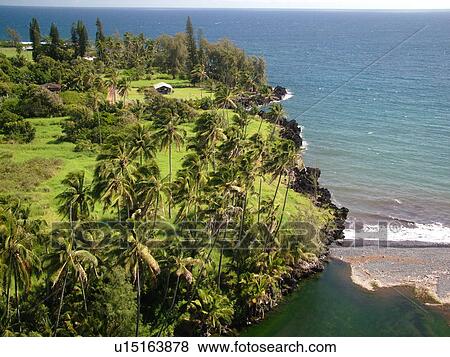 Keanae, Hana Highway, Maui, HI, Hawaii, Hana Coast, Highway 360, East Maui, North Shore, Keanae Peninsula View Large Photo Image Stock Photo -  Keanae, Hana Highway, Maui, HI, Hawaii, Hana Coast, Highway 360, East Maui, North Shore, Keanae Peninsula. Fotosearch