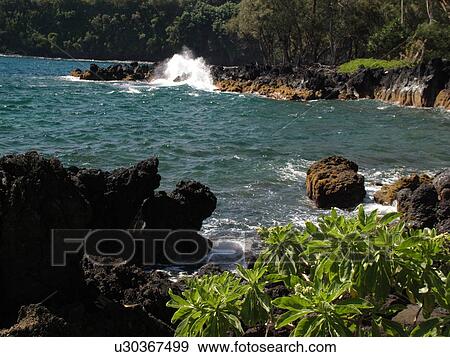 Keanae, Hana Highway, Maui, HI, Hawaii, Hana Coast, Highway 360, East Maui, North Shore, Keanae Peninsula View Large Photo Image Stock Photo -  Keanae, Hana Highway, Maui, HI, Hawaii, Hana Coast, Highway 360, East Maui, North Shore, Keanae Peninsula. Fotosearch