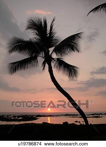 Picture -  Keauhou, Big Island, Island of Hawaii, HI, Hawaii, Kona Coast, Keauhou Beach Resort, sunset. Fotosearch
