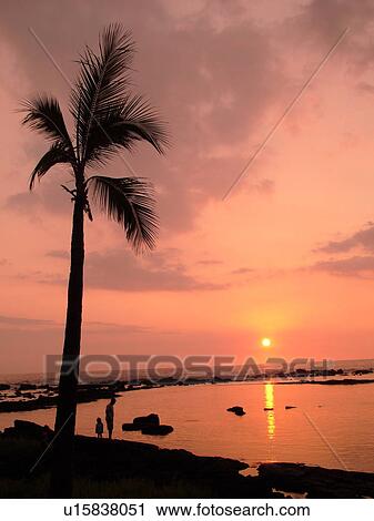 Stock Image -  Keauhou, Big Island, Island of Hawaii, HI, Hawaii, Kona Coast, Keauhou Beach Resort, sunset. Fotosearch