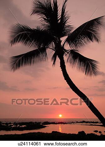 Stock Image -  Keauhou, Big Island, Island of Hawaii, HI, Hawaii, Kona Coast, Keauhou Beach Resort, sunset. Fotosearch
