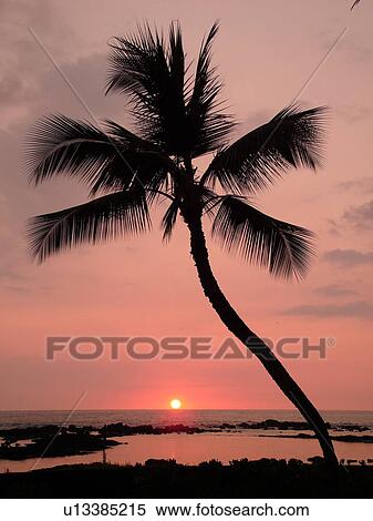 Keauhou, Big Island, Island of Hawaii, HI, Hawaii, Kona Coast, Keauhou Beach Resort, sunset View Large Photo Image Stock Photography - Keauhou, Big Island, Island of Hawaii, HI, Hawaii, Kona Coast, Keauhou Beach Resort, sunset. Fotosearch