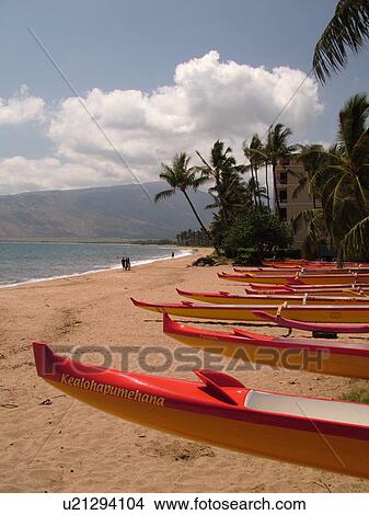 Kihei, Maui, HI, Hawaii, Leeward Coast, Maalaea Bay, Kamaloe, Kamaloe Beach, Southwestern Coast, sea outrigger canoes View Large Photo Image Picture - Kihei, Maui, HI, Hawaii, Leeward Coast, Maalaea Bay, Kamaloe, Kamaloe Beach, Southwestern Coast, sea outrigger canoes. Fotosearch