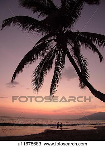 Kihei, Maui, HI, Hawaii, Leeward Coast, Maalaea Bay, Kamaloe, Kamaloe Beach, sunset, Southwestern Coast View Large Photo Image Stock Image - Kihei, Maui, HI, Hawaii, Leeward Coast, Maalaea Bay, Kamaloe, Kamaloe Beach, sunset, Southwestern Coast. Fotosearch