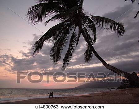 Stock Image -  Kihei, Maui, HI, Hawaii, Leeward Coast, Maalaea Bay, Kamaloe, Kamaloe Beach, sunset, Southwestern Coast. Fotosearch