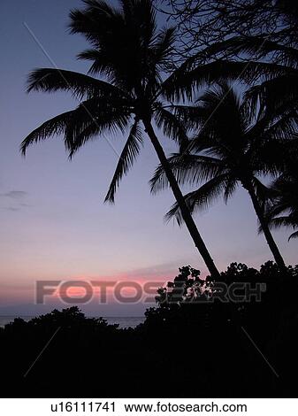 Kihei, Maui, HI, Hawaii, Leeward Coast, Maalaea Bay, Kamaloe, Kamaloe Beach, sunset, Southwestern Coast View Large Photo Image Stock Image - Kihei, Maui, HI, Hawaii, Leeward Coast, Maalaea Bay, Kamaloe, Kamaloe Beach, sunset, Southwestern Coast. Fotosearch