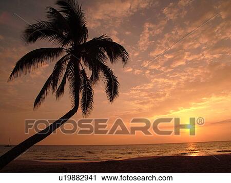 Kihei, Maui, HI, Hawaii, Leeward Coast, Maalaea Bay, Kamaloe, Kamaloe Beach, sunset, Southwestern Coast View Large Photo Image Stock Image - Kihei, Maui, HI, Hawaii, Leeward Coast, Maalaea Bay, Kamaloe, Kamaloe Beach, sunset, Southwestern Coast. Fotosearch