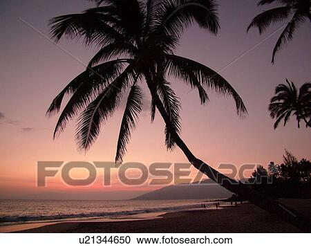 Kihei, Maui, HI, Hawaii, Leeward Coast, Maalaea Bay, Kamaloe, Kamaloe Beach, sunset, Southwestern Coast View Large Photo Image Stock Image - Kihei, Maui, HI, Hawaii, Leeward Coast, Maalaea Bay, Kamaloe, Kamaloe Beach, sunset, Southwestern Coast. Fotosearch