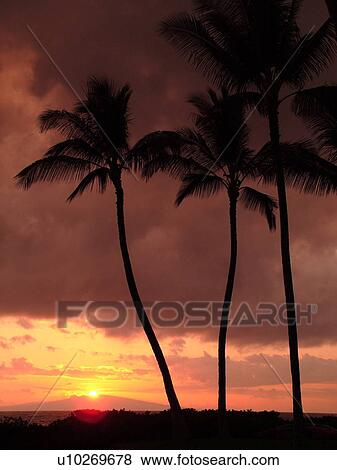 Kihei, Maui, HI, Hawaii, Leeward Coast, Maalaea Bay, Kamaloe, Kamaloe Beach, Southwestern Coast, sunset View Large Photo Image Stock Photo - Kihei, Maui, HI, Hawaii, Leeward Coast, Maalaea Bay, Kamaloe, Kamaloe Beach, Southwestern Coast, sunset. Fotosearch