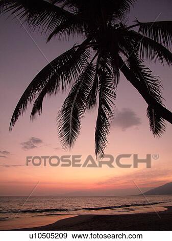 Stock Photo -  Kihei, Maui, HI, Hawaii, Leeward Coast, Maalaea Bay, Kamaloe, Kamaloe Beach, sunset, Southwestern Coast. Fotosearch
