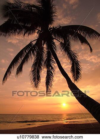Kihei, Maui, HI, Hawaii, Leeward Coast, Maalaea Bay, Kamaloe, Kamaloe Beach, sunset, Southwestern Coast View Large Photo Image Stock Photo - Kihei, Maui, HI, Hawaii, Leeward Coast, Maalaea Bay, Kamaloe, Kamaloe Beach, sunset, Southwestern Coast. Fotosearch