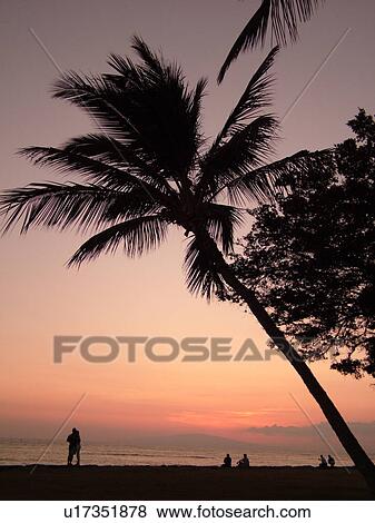 Kihei, Maui, HI, Hawaii, Leeward Coast, Maalaea Bay, Kamaloe, Kamaloe beach, sunset, Southwestern Coast View Large Photo Image Stock Photo - Kihei, Maui, HI, Hawaii, Leeward Coast, Maalaea Bay, Kamaloe, Kamaloe beach, sunset, Southwestern Coast. Fotosearch