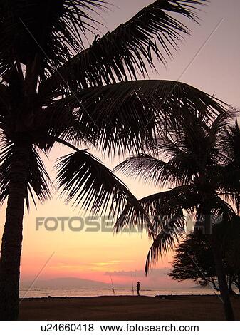 Stock Photo -  Kihei, Maui, HI, Hawaii, Leeward Coast, Maalaea Bay, Kamaloe, Kamaloe beach, sunset, Southwestern Coast. Fotosearch