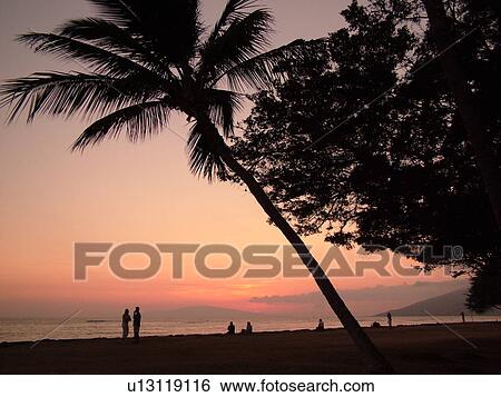 Kihei, Maui, HI, Hawaii, Leeward Coast, Maalaea Bay, Kamaloe, Kamaloe beach, sunset, Southwestern Coast View Large Photo Image Stock Photograph - Kihei, Maui, HI, Hawaii, Leeward Coast, Maalaea Bay, Kamaloe, Kamaloe beach, sunset, Southwestern Coast. Fotosearch