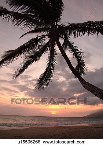 Kihei, Maui, HI, Hawaii, Leeward Coast, Maalaea Bay, Kamaloe, Kamaloe Beach, sunset, Southwestern Coast View Large Photo Image Stock Photograph - Kihei, Maui, HI, Hawaii, Leeward Coast, Maalaea Bay, Kamaloe, Kamaloe Beach, sunset, Southwestern Coast. Fotosearch
