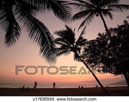 Kihei, Maui, HI, Hawaii, Leeward Coast, Maalaea Bay, Kamaloe, Kamaloe beach, sunset, Southwestern Coast View Large Photo Image Stock Photography - Kihei, Maui, HI, Hawaii, Leeward Coast, Maalaea Bay, Kamaloe, Kamaloe beach, sunset, Southwestern Coast. Fotosearch