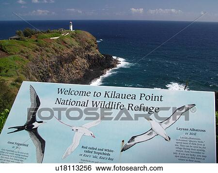 Kilauea, Kauai, HI, Hawaii, North shore, Kilauea Point, Kilauea Lighthouse National Wildlife Refuge View Large Photo Image Stock Photograph - Kilauea, Kauai, HI, Hawaii, North shore, Kilauea Point, Kilauea Lighthouse National Wildlife Refuge. Fotosearch