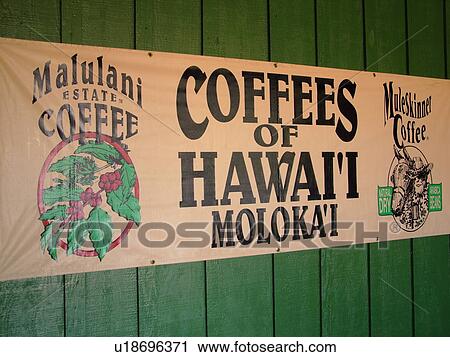 Kualapuu, Molokai, HI, Hawaii, Coffees of Hawaii View Large Photo Image Stock Image - Kualapuu, Molokai, HI, Hawaii, Coffees of Hawaii. Fotosearch