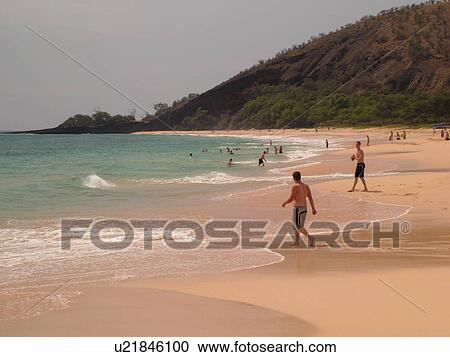 La Perouse State Park, Maui, HI, Hawaii, Leeward Coast, Makena Bay, Big Beach View Large Photo Image Stock Image - La Perouse State Park, Maui, HI, Hawaii, Leeward Coast, Makena Bay, Big Beach. Fotosearch