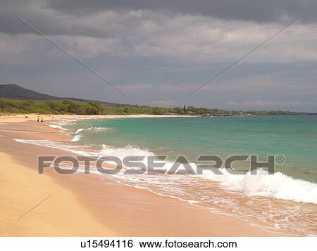 La Perouse State Park, Maui, HI, Hawaii, Leeward Coast, Makena Bay, Big Beach View Large Photo Image Stock Photograph - La Perouse State Park, Maui, HI, Hawaii, Leeward Coast, Makena Bay, Big Beach. Fotosearch