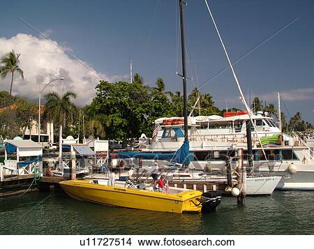 Lahaina, Maui, HI, Hawaii, Lahaina Harbor, marina View Large Photo Image Picture - Lahaina, Maui, HI, Hawaii, Lahaina Harbor, marina. Fotosearch