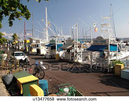 Lahaina, Maui, HI, Hawaii, Lahaina Harbor, marina View Large Photo Image Stock Photo - Lahaina, Maui, HI, Hawaii, Lahaina Harbor, marina. Fotosearch