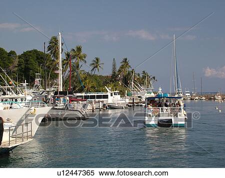 Stock Photography -  Lahaina, Maui, HI, Hawaii, Lahaina Harbor, marina. Fotosearch