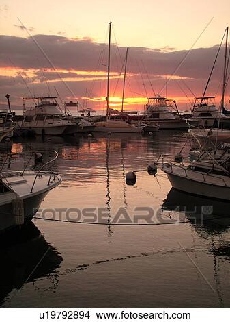 Picture -  Lahaina, Maui, HI, Hawaii, West Maui, Lahaina Harbor, marina, sunset. Fotosearch