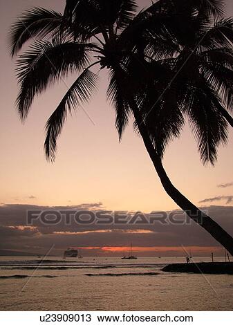 Stock Image -  Lahaina, Maui, HI, Hawaii, West Maui, Auau Channel, sunset, palm tree. Fotosearch