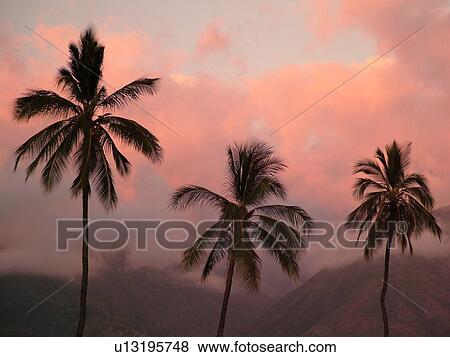 Lahaina, Maui, HI, Hawaii, West Maui, West Maui Mountains, sunset View Large Photo Image Stock Photo - Lahaina, Maui, HI, Hawaii, West Maui, West Maui Mountains, sunset. Fotosearch