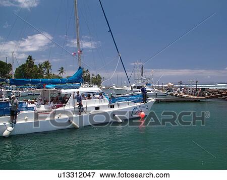 Lahaina, Maui, HI, Hawaii, West Maui, Lahaina Harbor, sailboat View Large Photo Image Stock Photo - Lahaina, Maui, HI, Hawaii, West Maui, Lahaina Harbor, sailboat. Fotosearch