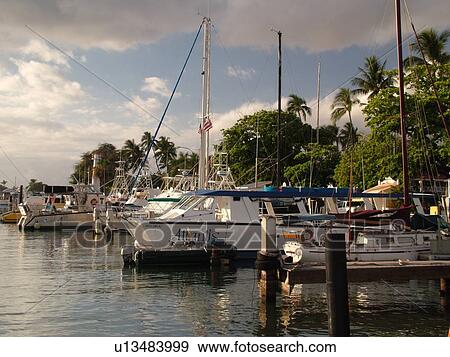 Lahaina, Maui, HI, Hawaii, West Maui, Lahaina Harbor, marina View Large Photo Image Stock Photo - Lahaina, Maui, HI, Hawaii, West Maui, Lahaina Harbor, marina. Fotosearch