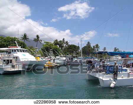 Lahaina, Maui, HI, Hawaii, West Maui, Lahaina Harbor View Large Photo Image Stock Photo - Lahaina, Maui, HI, Hawaii, West Maui, Lahaina Harbor. Fotosearch