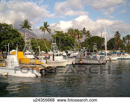 Lahaina, Maui, HI, Hawaii, West Maui, Lahaina Harbor, marina View Large Photo Image Stock Photo - Lahaina, Maui, HI, Hawaii, West Maui, Lahaina Harbor, marina. Fotosearch